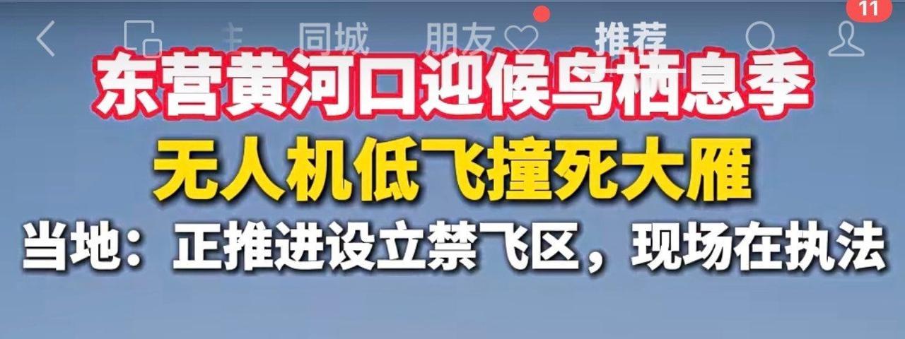 无人机撞死大雁
害人害己害鸟