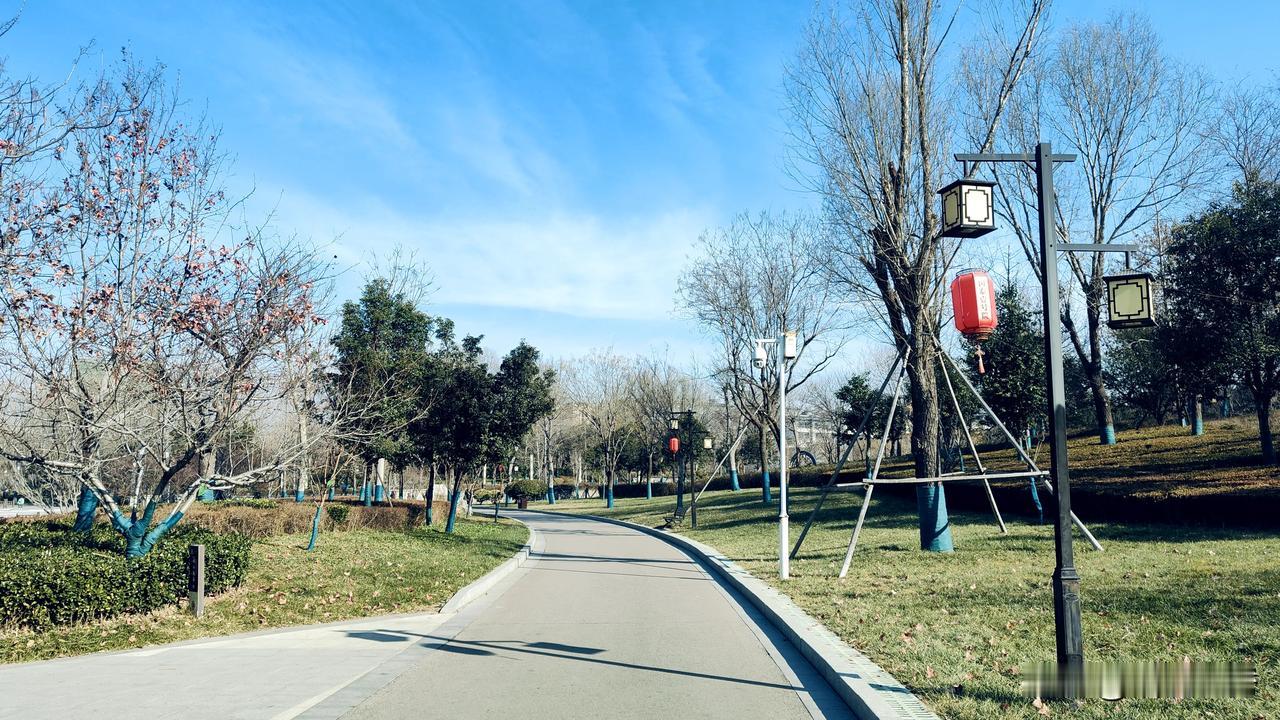 山东泰安宁阳县城复圣公园泰安风景线