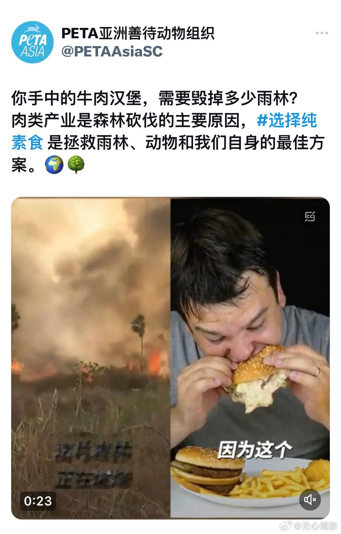 懂了，夏威夷是拜登和特朗普烧的 ​​​
