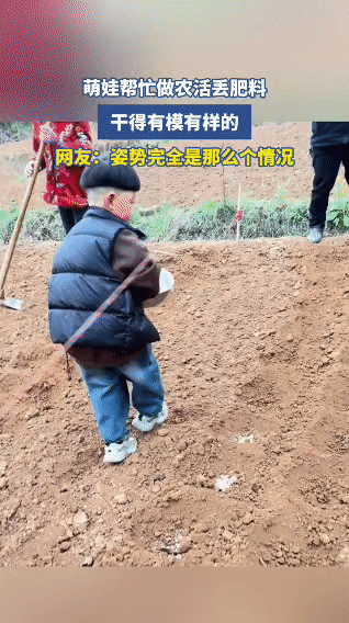 家里大人在地里忙活，萌娃也主动凑过来要帮忙。

他穿着厚实的马甲和牛仔裤，端着一