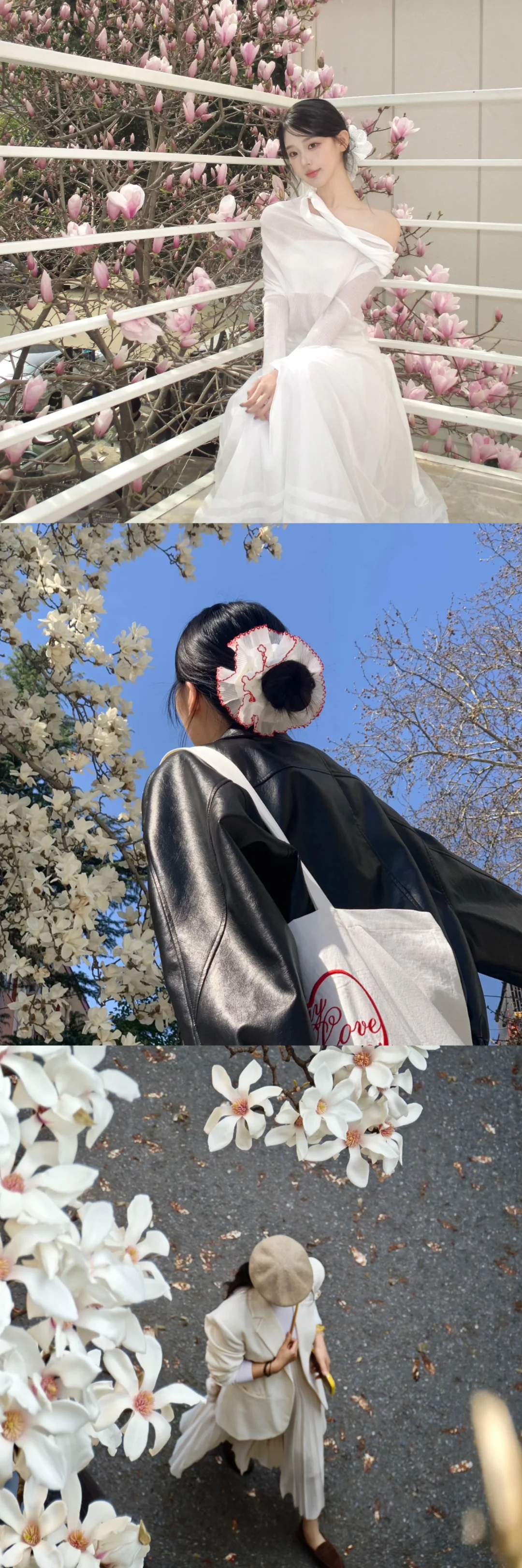 存一些玉兰花拍照📷姿势！