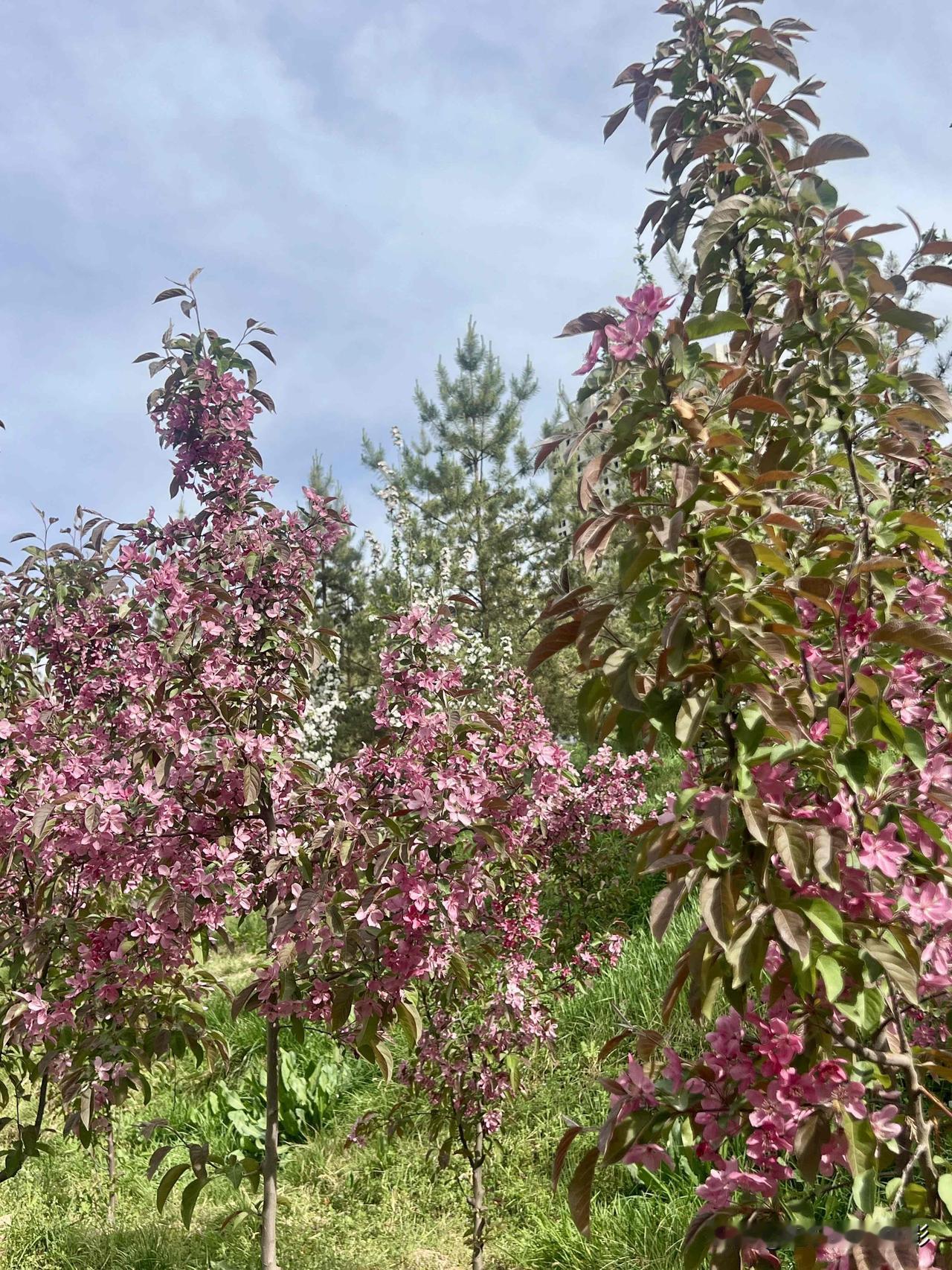 沙尘天气又来了，好了几天的天气又变了！

4月18日21时55分，兰州市气象台发