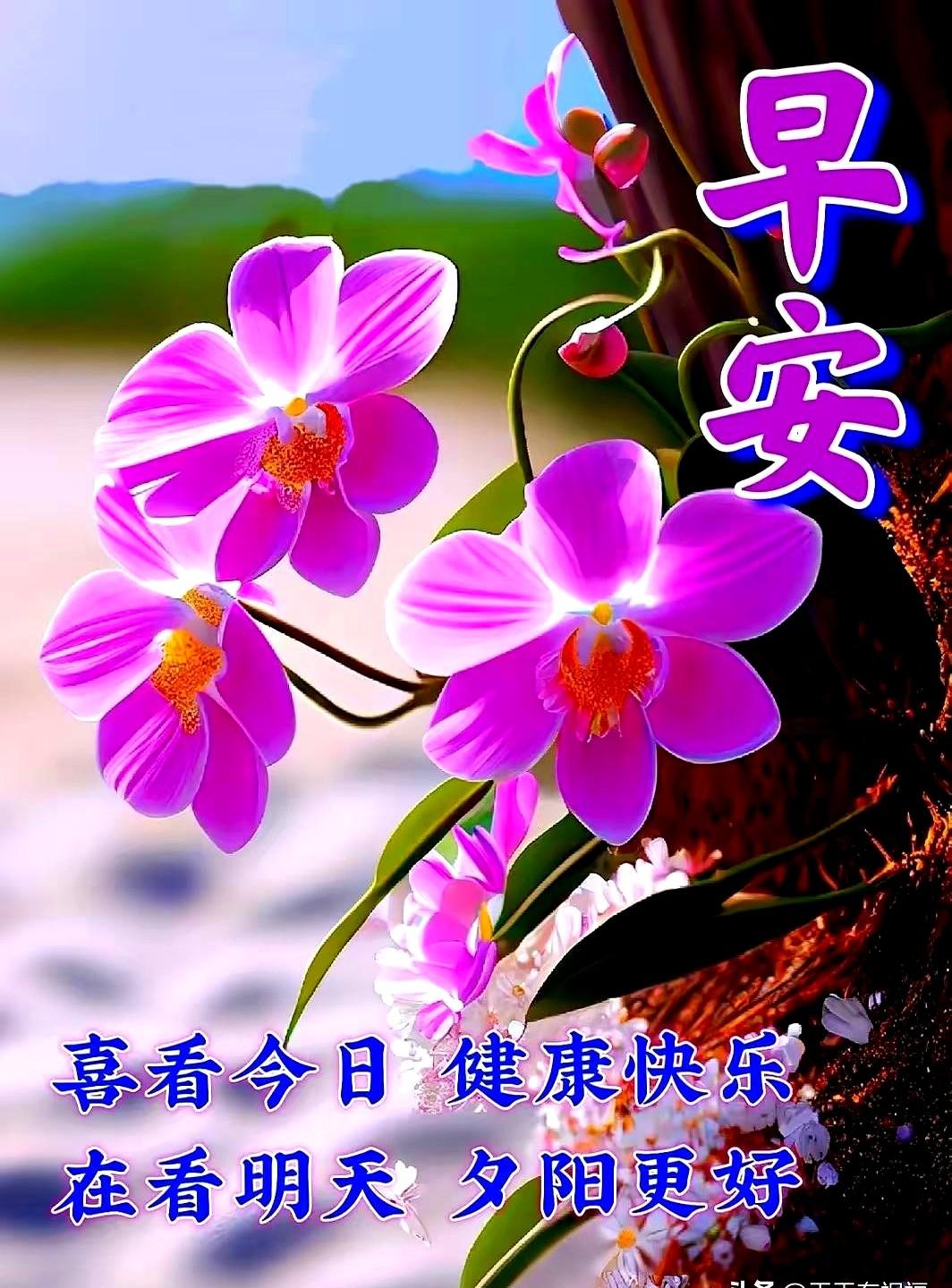 寒气由阳光吸收，暖阳装入胸膛，晨雾吹挂在树叶上。
你每天都把清晨的阳光和暖意打包