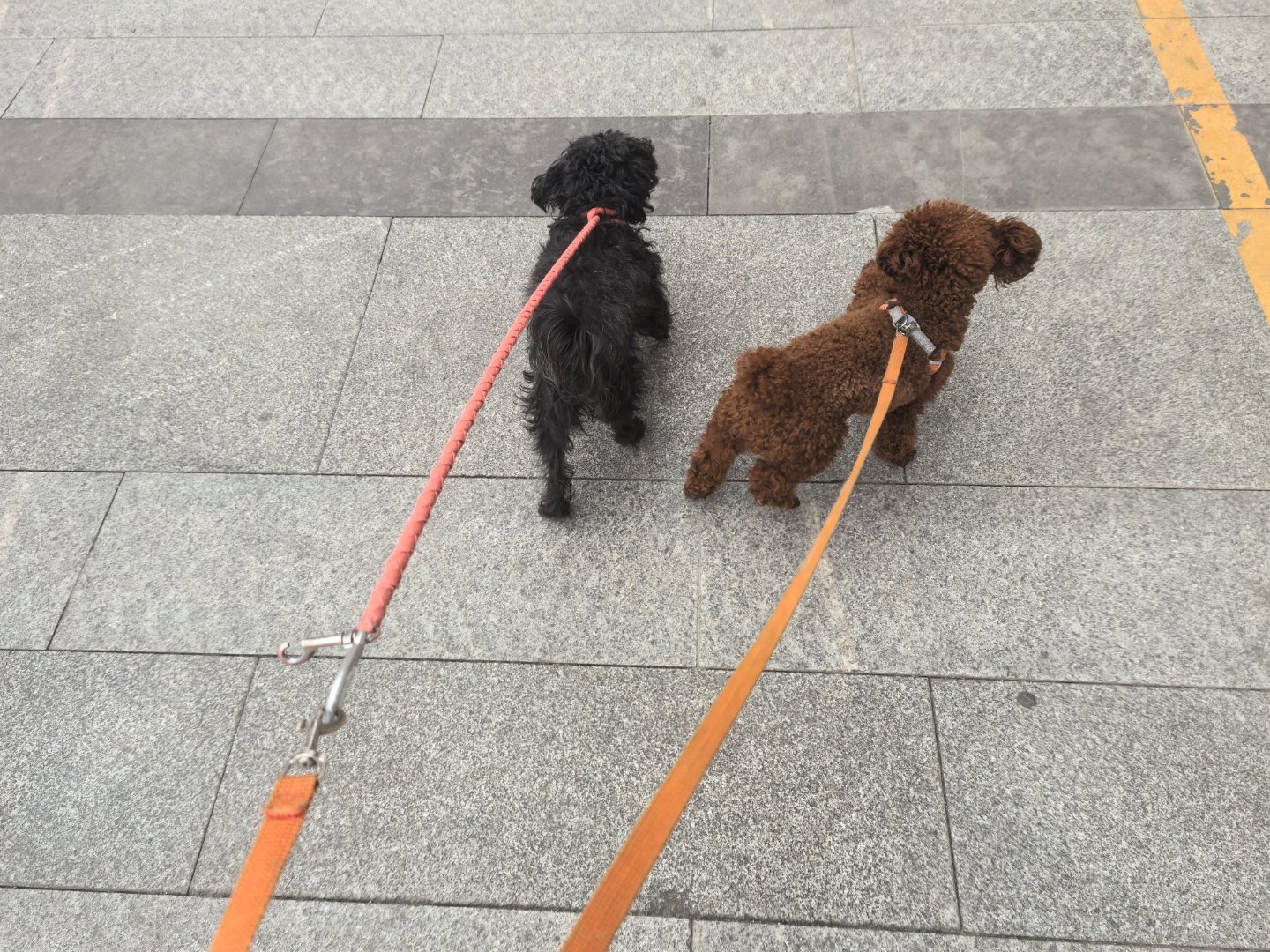 做白银lof套利的不慌，目前溢价超过100%，你只要在6个跌停内能卖出去都有赚，