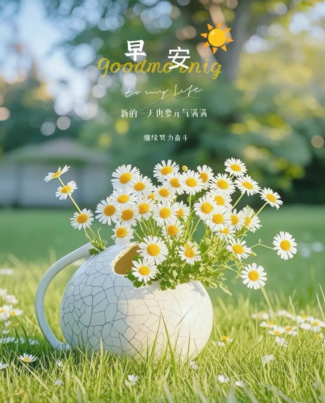 早安 Morning🌞新的一周，新的开始，愿你带着满满的干劲，在追逐梦想的路上