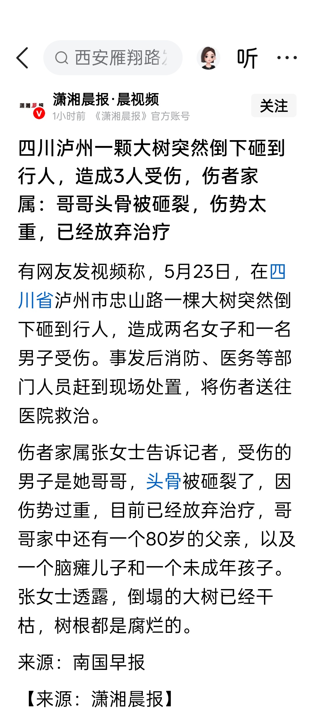 四川泸州一颗大树突然倒下砸到行人，造成3人受伤，伤者家属：哥哥头骨被砸裂，伤势太