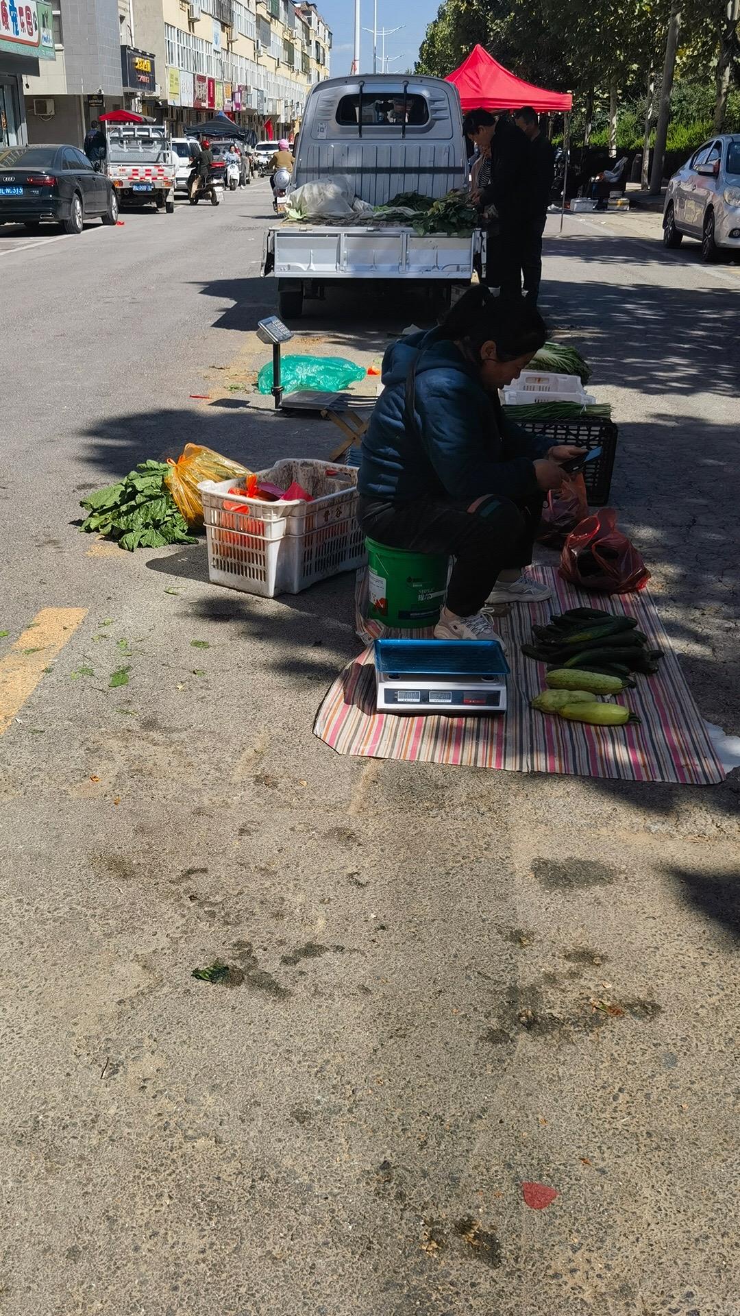 丈夫每个月都要偷偷回几趟老家，6年了，我才知道他在老家有个娘  老公每...