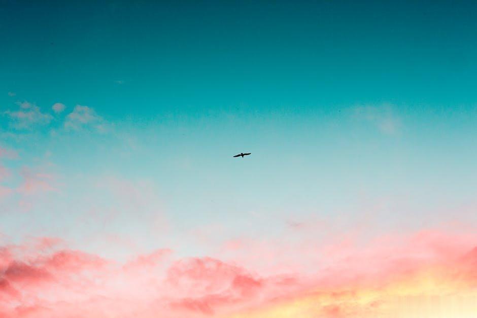 书犹药也，善读之可以医愚。——刘向 