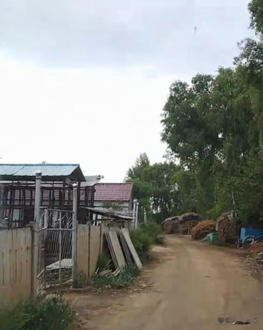 原创随手拍之（2767）
吉林省东丰县大阳镇平安村五队唐家街上堡屯。
东丰县大阳
