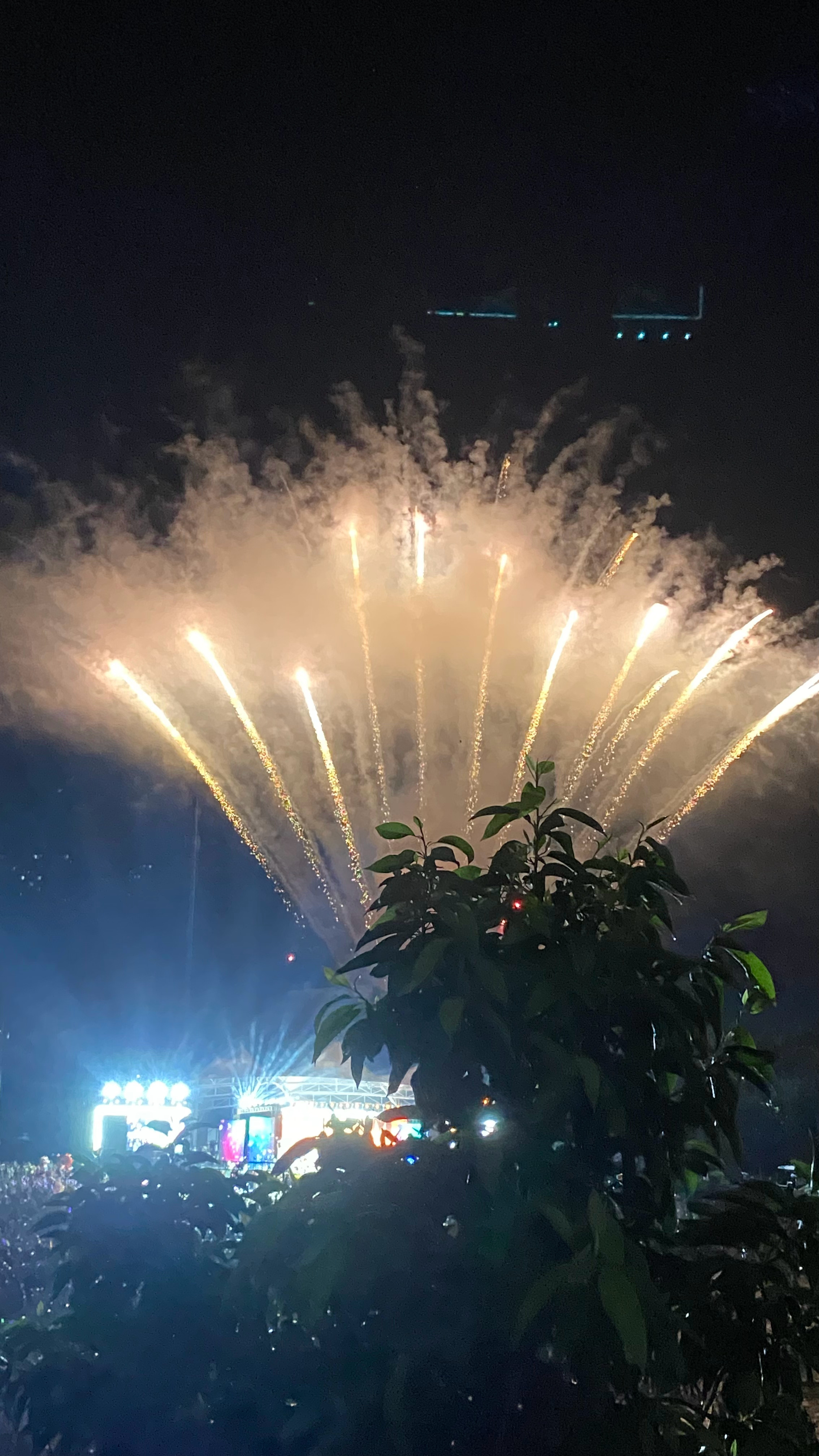 人为什么一定要往前走 也可以往四处走走 ​​​