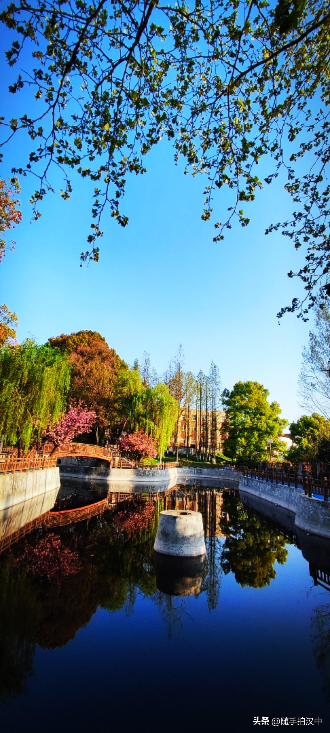 春日生活打卡季陪老爸清晨散步，途径公园，随手拍一张，记录今日的美好。史铁生太会写