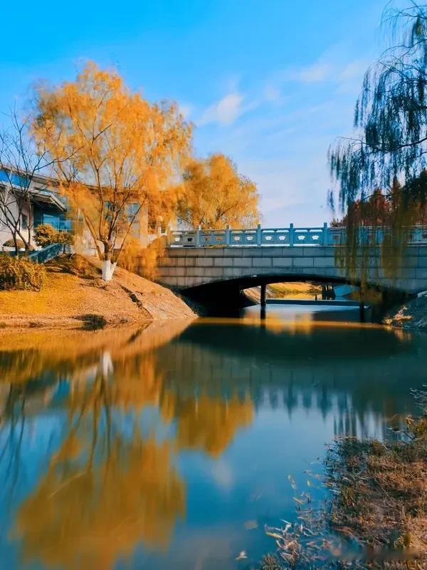 《七律    即景感怀》
世路崎岖意未孤，流年辗转迹非无。
风侵客梦花间误，雪虐