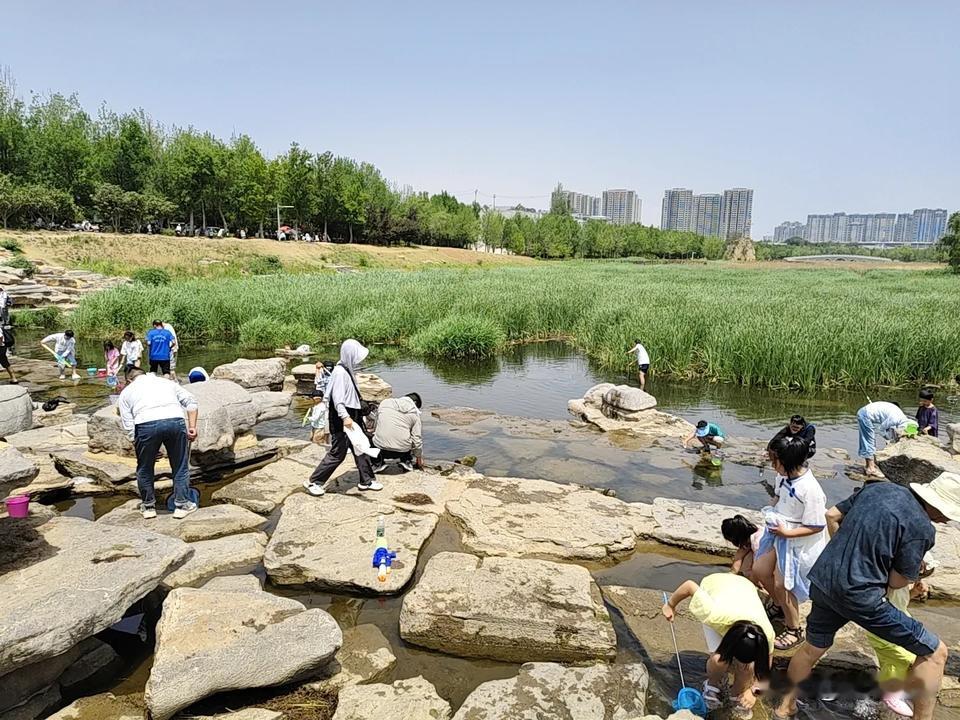 贾鲁河
