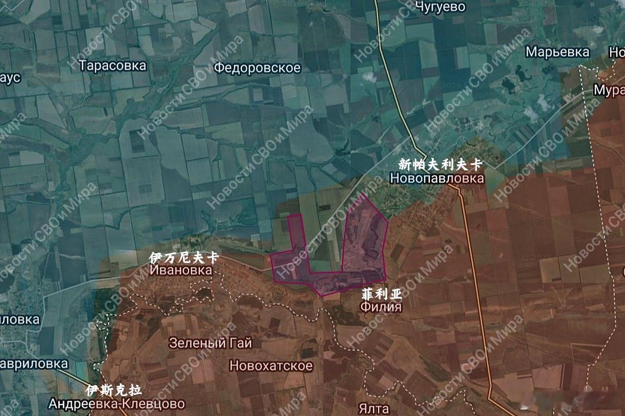 新帕夫利夫卡西南的野地进展来源：DIVGEN 🚩 Карта СВО、Ново