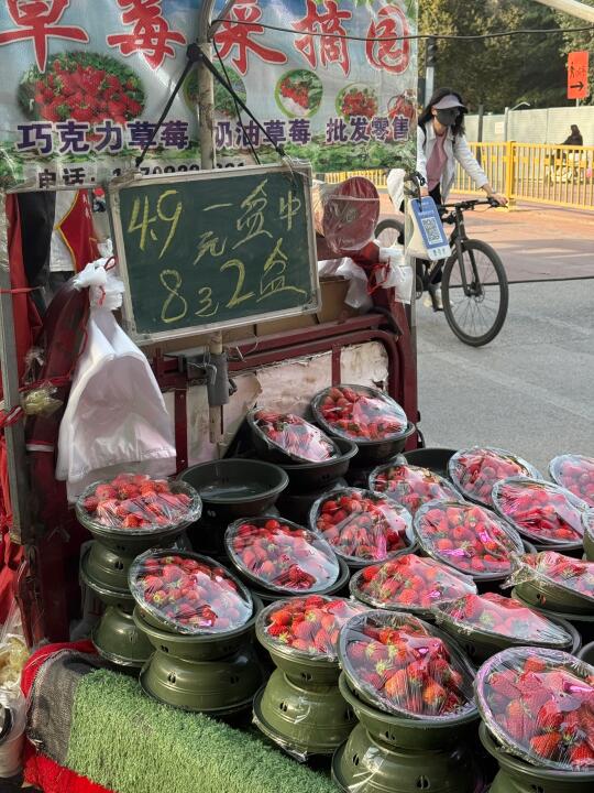 西安盆装草莓的价格已经是next level😅😅