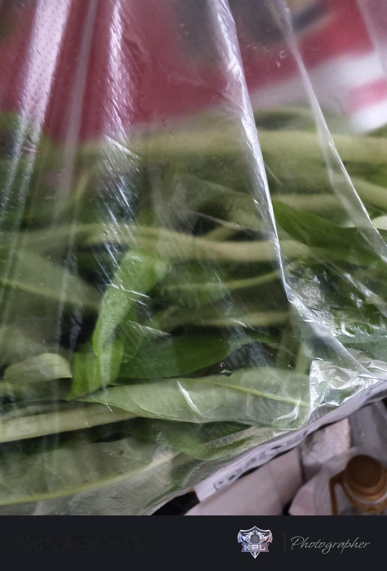 白茎的空心菜在市场那条街的档口那边摆着价格，三元一斤的。在市场里面，看到一个阿婆