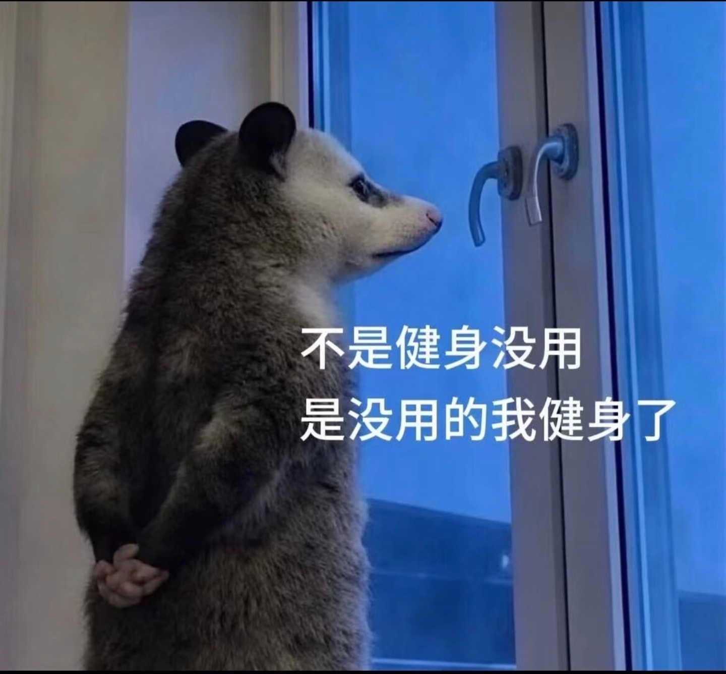腘绳肌不酸了，今天酸臀大肌了，我这都还是小力量☺️，大负重不敢想 