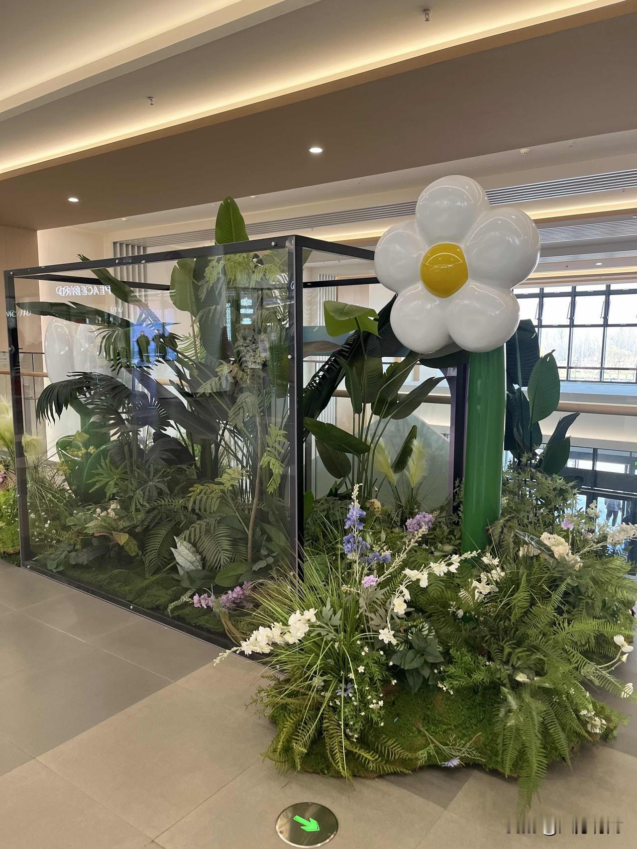 这抹鲜活的绿意，像生活里突然冒出来的小惊喜~
那些看似平淡的日常，藏着悄悄生长的