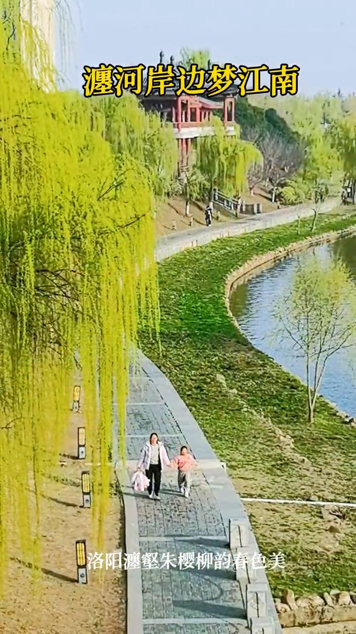 瀍河岸边梦江南，洛阳瀍壑朱樱柳韵春色美。