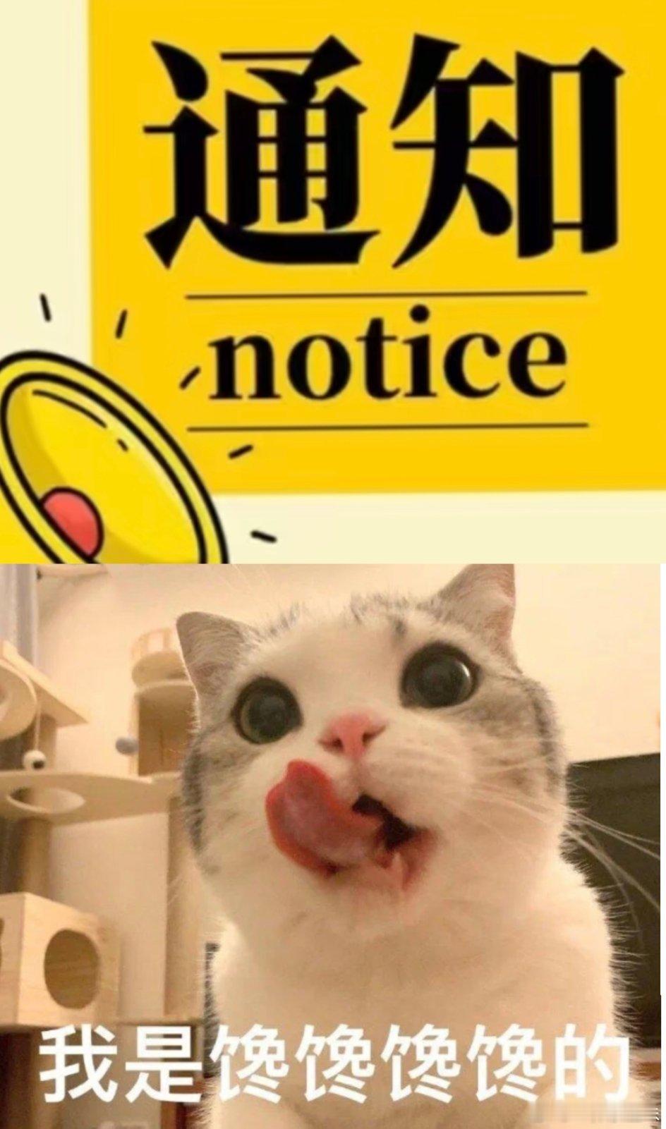 ‼️ 预警！小馋猫子集合！明天09:20起，连续三天！刘宇宁新商务预热官宣！啊啊