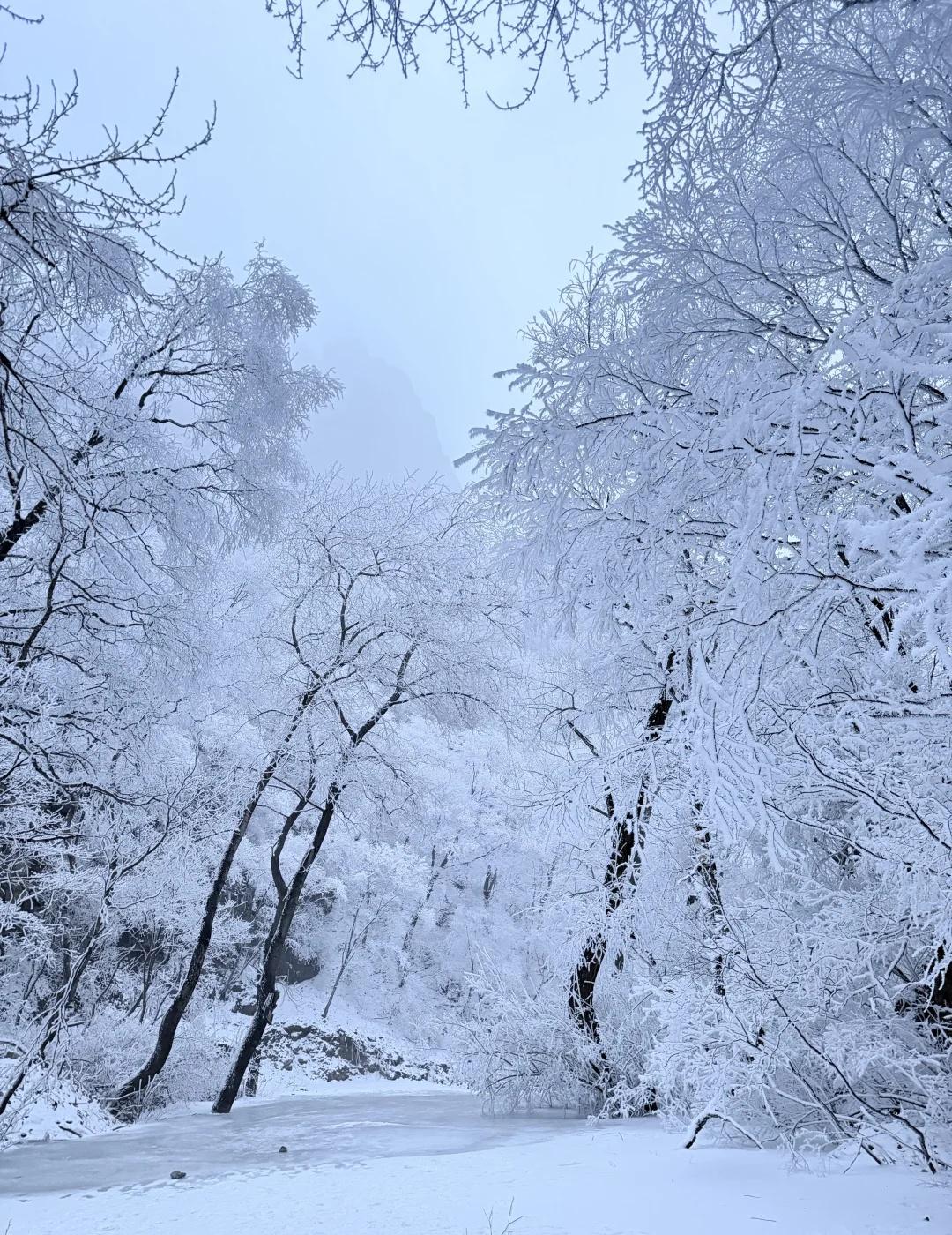 “雾”凇天路，我来了！北京也看到啦
临时决定去看看，很意外，美呆了，开车就能看到
