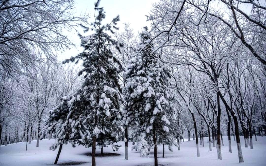10月24号，河北涞源、石家庄飘雪，朋友圈直接刷屏：秋天被一键删除。

我扒了气