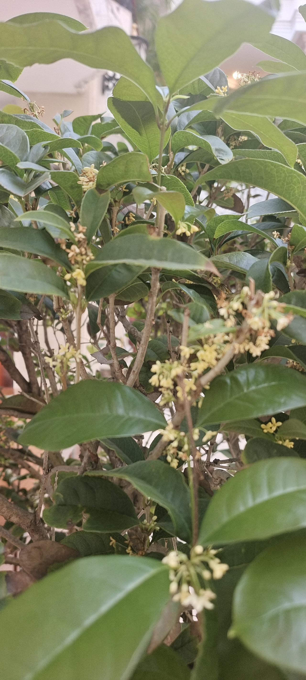 对于一个人来说，冲动是魔鬼，打输了进医院，打平了被罚款，打赢了进监狱。恶人只有恶