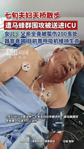 “看着揪心！”河南汝州一对七旬老夫妻出门散步，途经洗耳河旁人行天桥时，天桥下方突