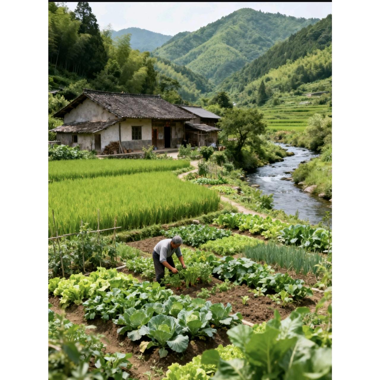 是在农村生活好还是在城市生活好? 农村生活与城市生活各有其独特魅力。城市交通便捷