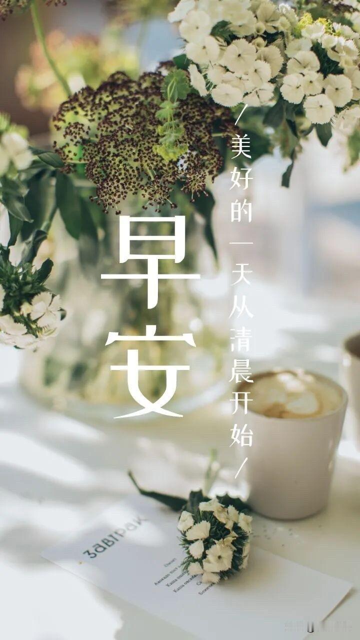 ☀️²⁰²⁶/₀₅.₀₈周末｜早安☕️🌷🍒🍊
初夏晨光清浅，微风温柔恬淡，