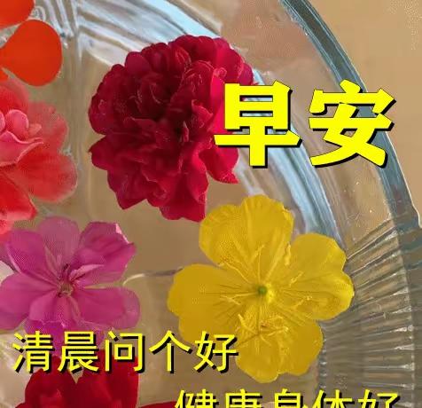 南浦诗联微信群交流录46

作者：南山

罗列几事，凑个游戏

蝶恋花•情殇（冯
