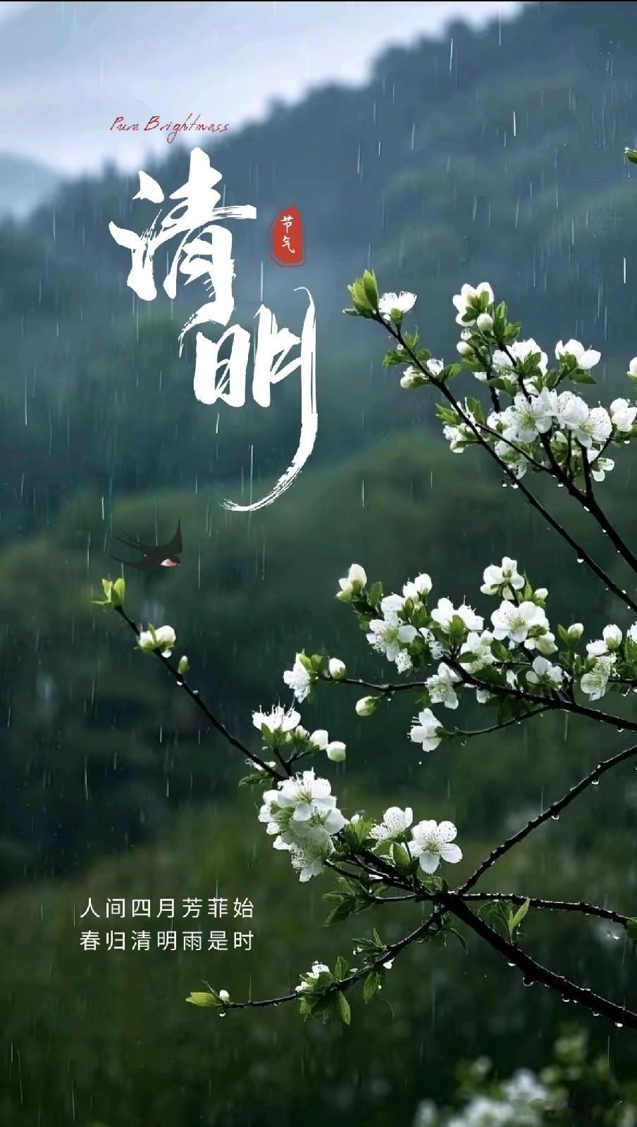 清明上坟别大意：属狗人5不做4必做，守好老规矩平安顺遂一整年
2026年清明节临