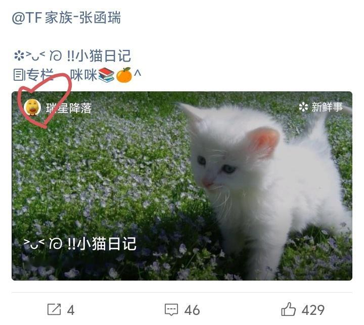 什么意思还不变 
