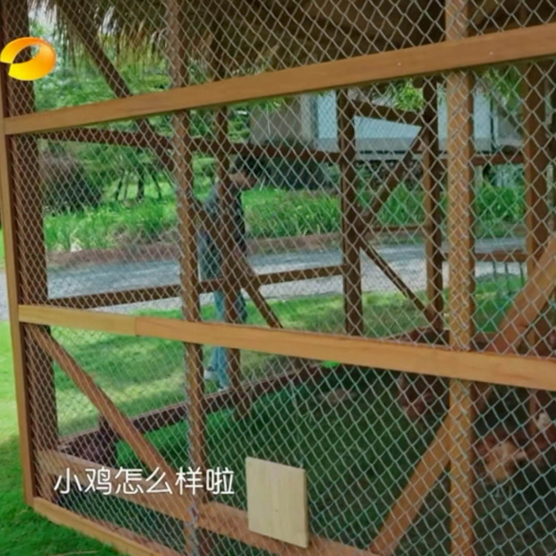 “小鸡er怎么样啦～”王俊凯中餐厅10