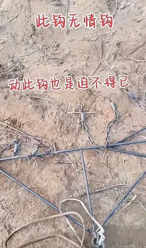 无情钩，今天才知道什么是无情钩，看到此钩，心都打寒，它是一种工具，一种水域打捞落