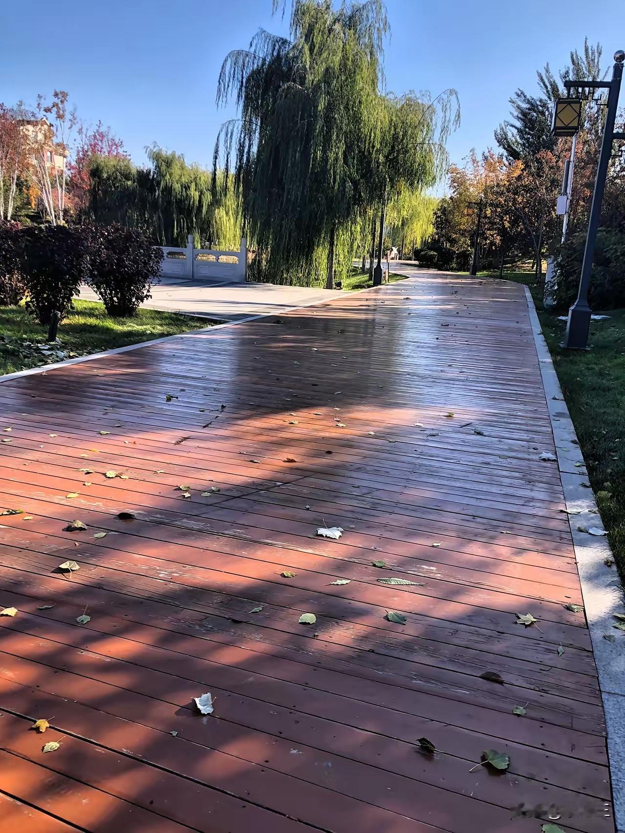 得知儿子要给岳父买墓地，我就想，将来我闭眼那天，儿子不用给我买墓地。父母给女儿买