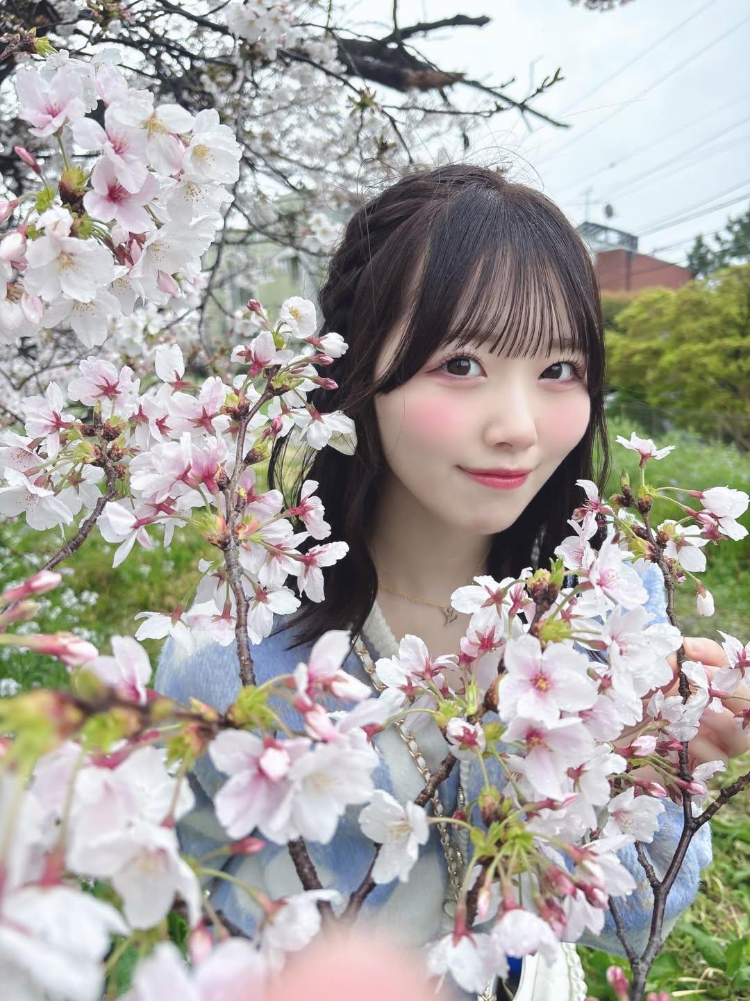 清新脱俗的白色海棠花你喜欢吗? 白色海棠花真的太清新脱俗了，谁能不爱啊！每次看到