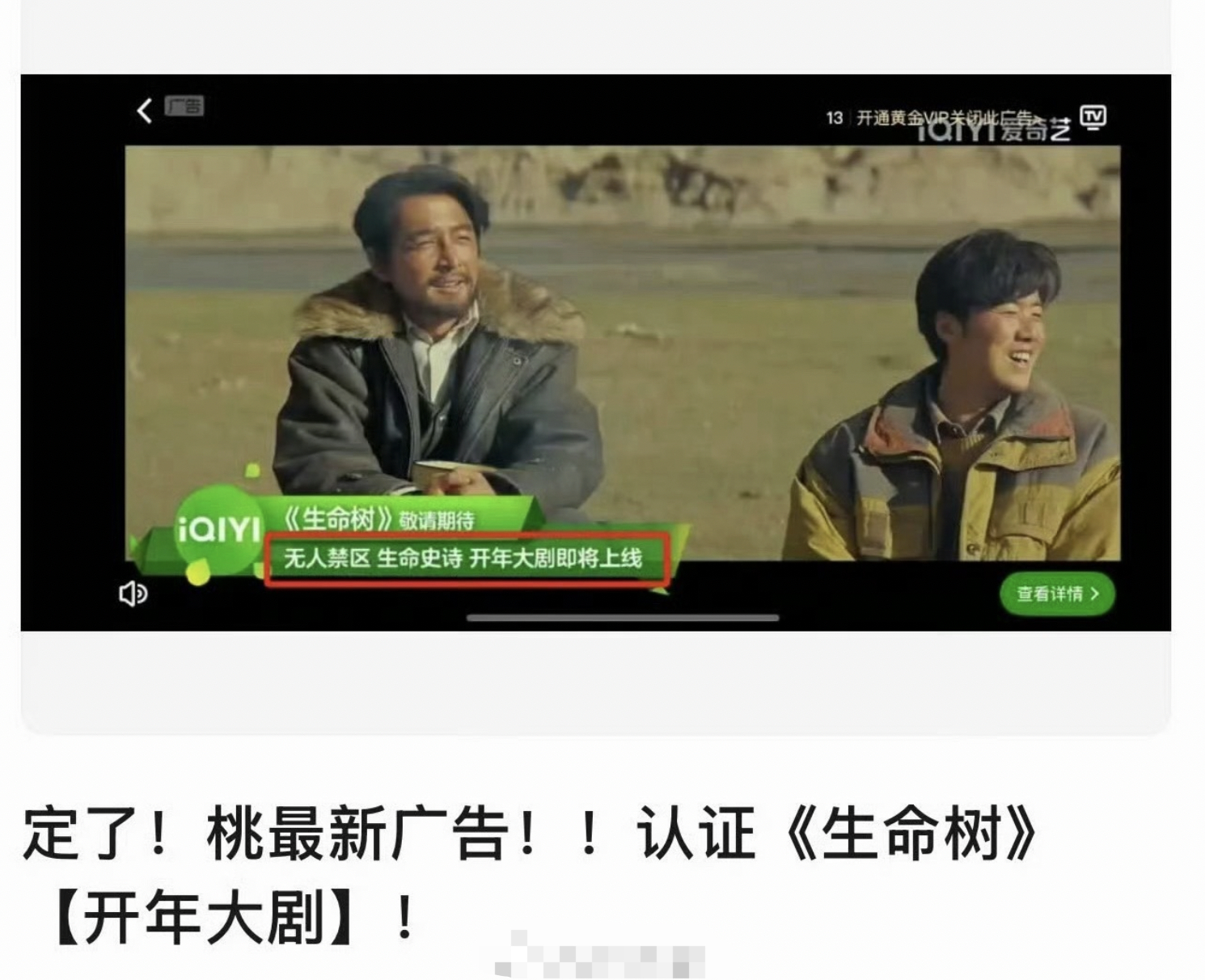 《生命树》还有半个月，桃猴急猴急的，第一次独播杨紫的剧也理解。 