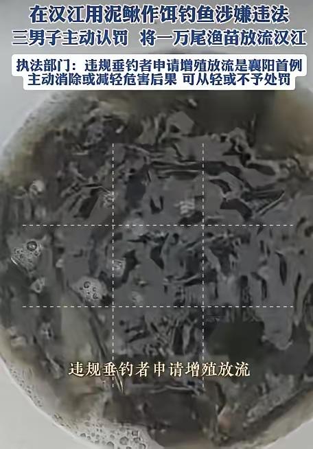 惩罚太轻了！湖北襄阳，3名钓鱼人在汉江钓鱼的时候，挂泥鳅钓，结果被渔政工作人员逮