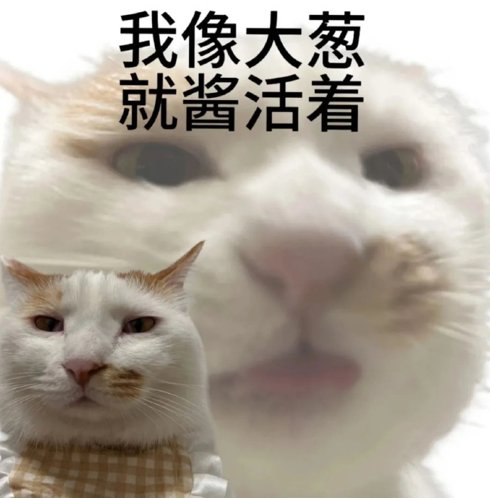 我不是从74公斤现在稳定到58公斤了嘛，身高是160，除了遵循多吃多动，少吃少动
