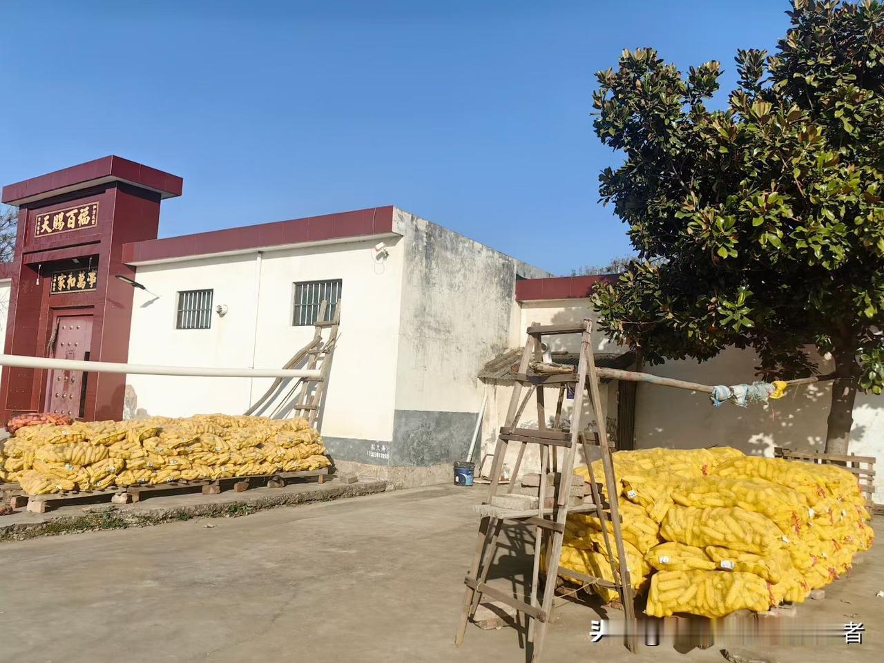 不管是农业植保、应急救援，还是低空旅游，都能看到咱国产发动机的身影。企业们憋着一