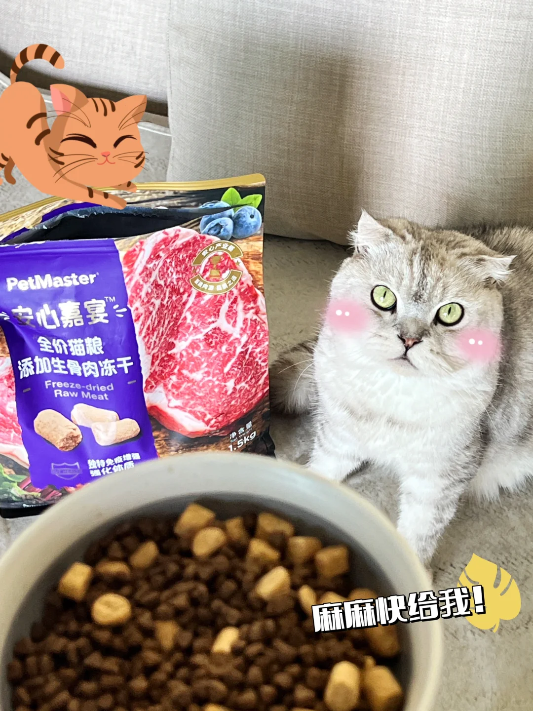 请允许我称它为猫粮天花板❗