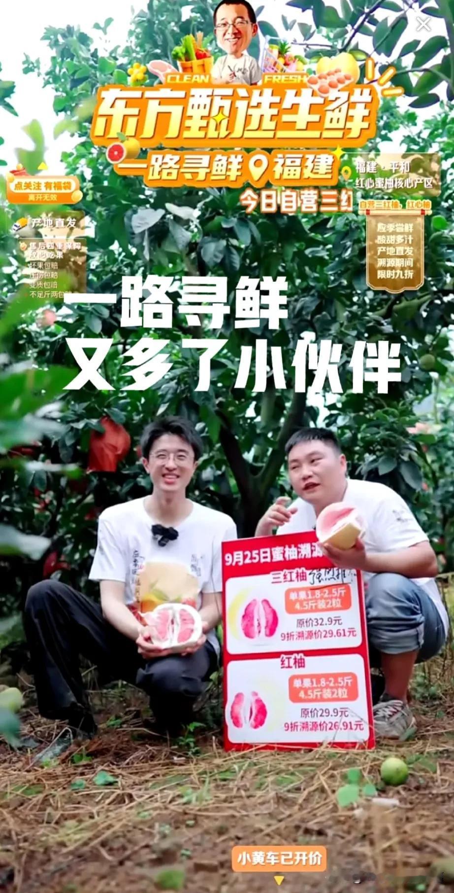 这些声音这些面孔太亲切了，东方甄选精神上的食粮，生活上的小菜园。瓜果蔬菜牛羊肉，