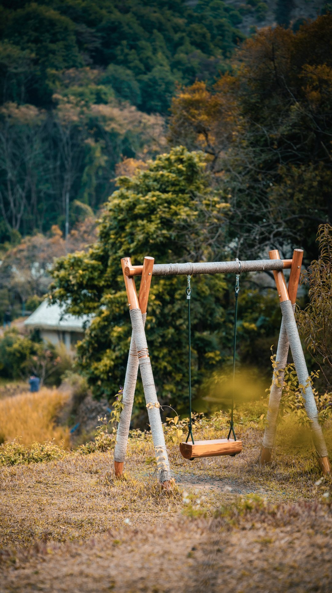 好久没发图了假装自己是摄影师几张随拍分享给大家路过这个世界 
