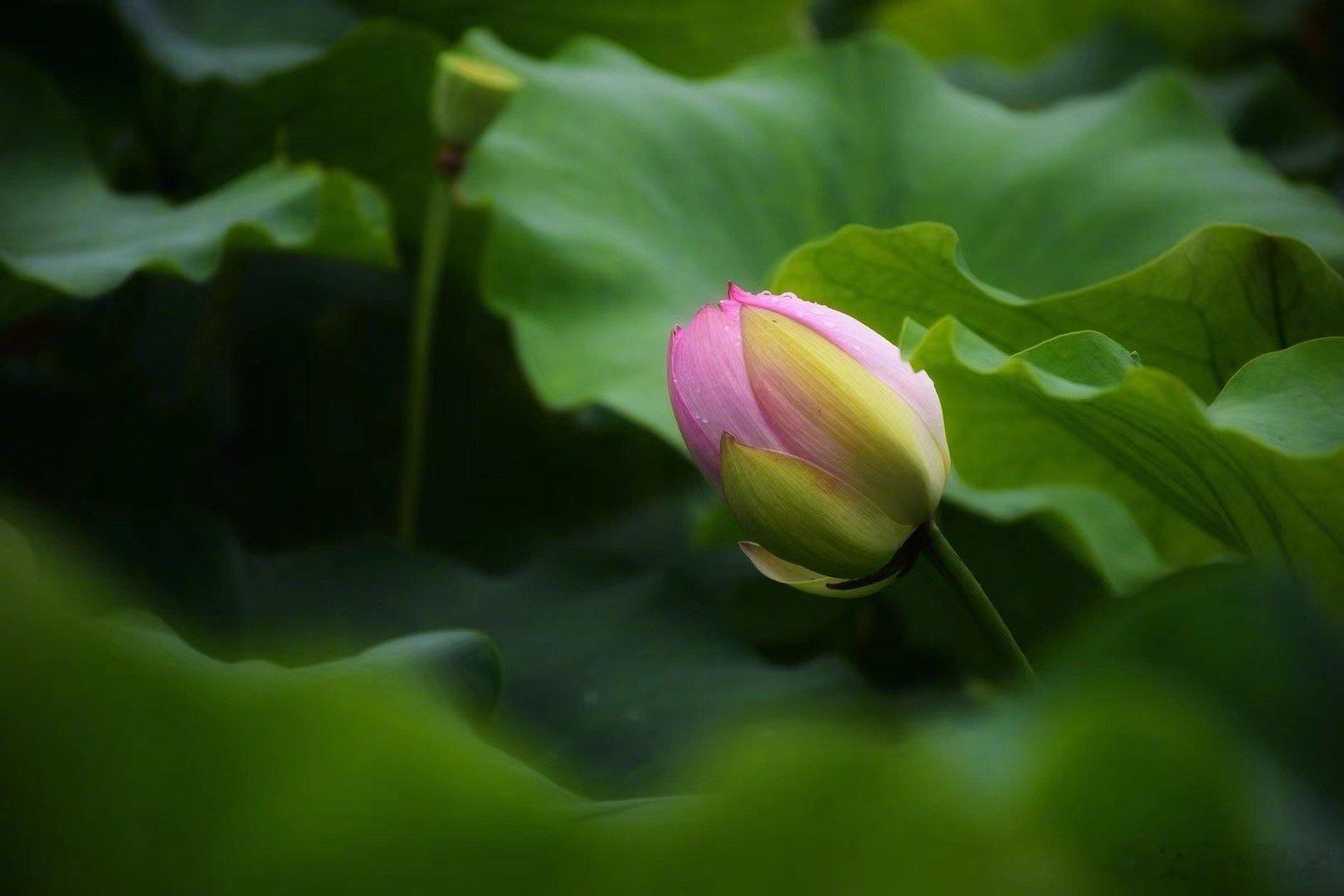 上完大号，再怎么用干燥的纸擦屁股，要想完全擦干净，不可能，总会有大便残留肛周皮肤