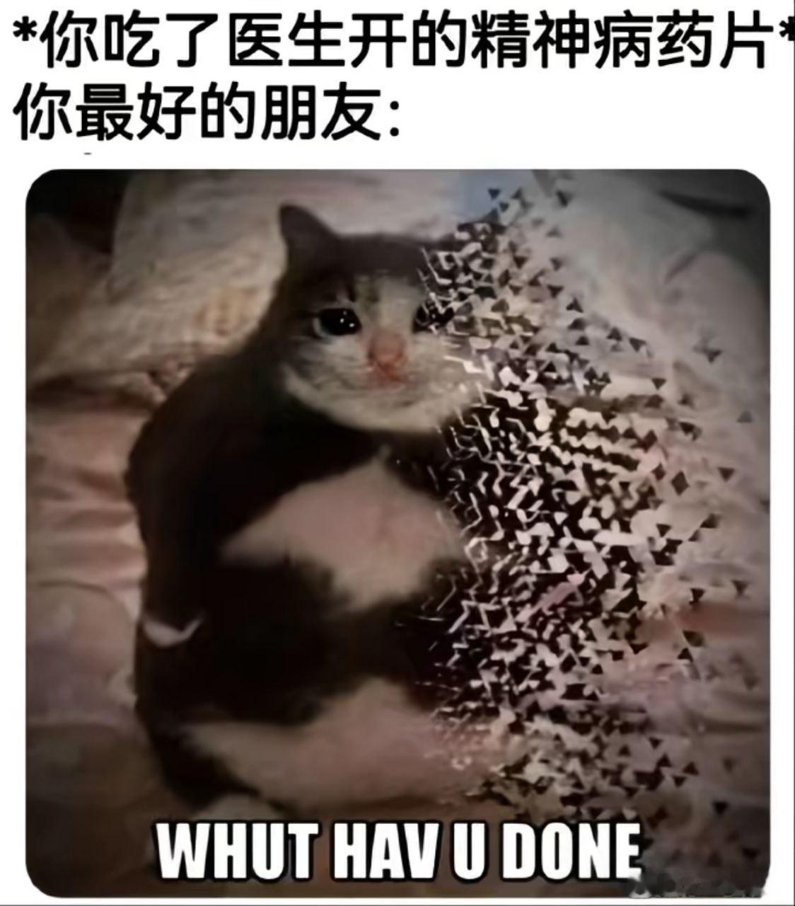 哦不 