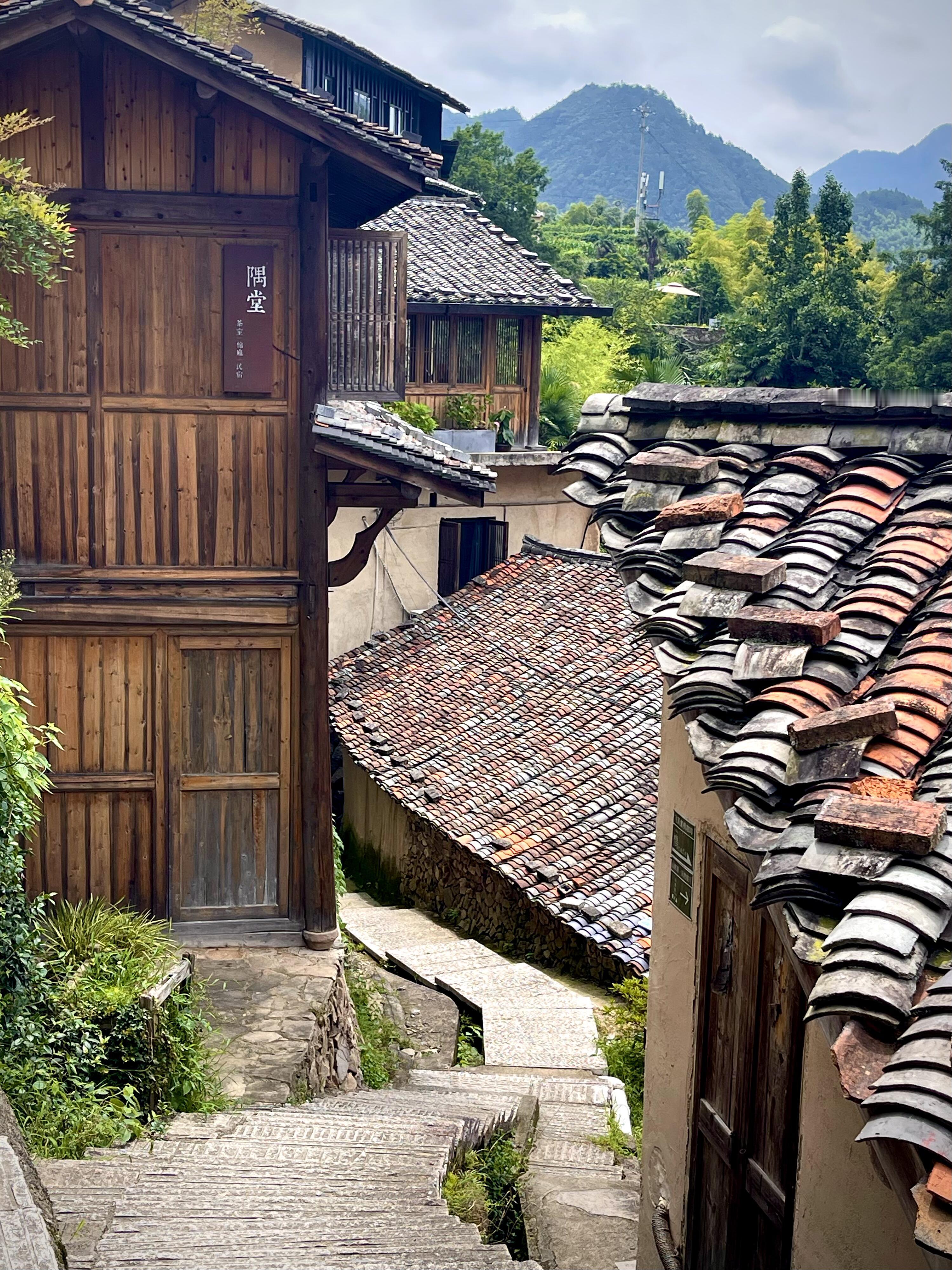 松阳陈家铺村，藏在浙南的“江南最后秘境”，被《国家地理》誉为悬崖上的古村落。这里