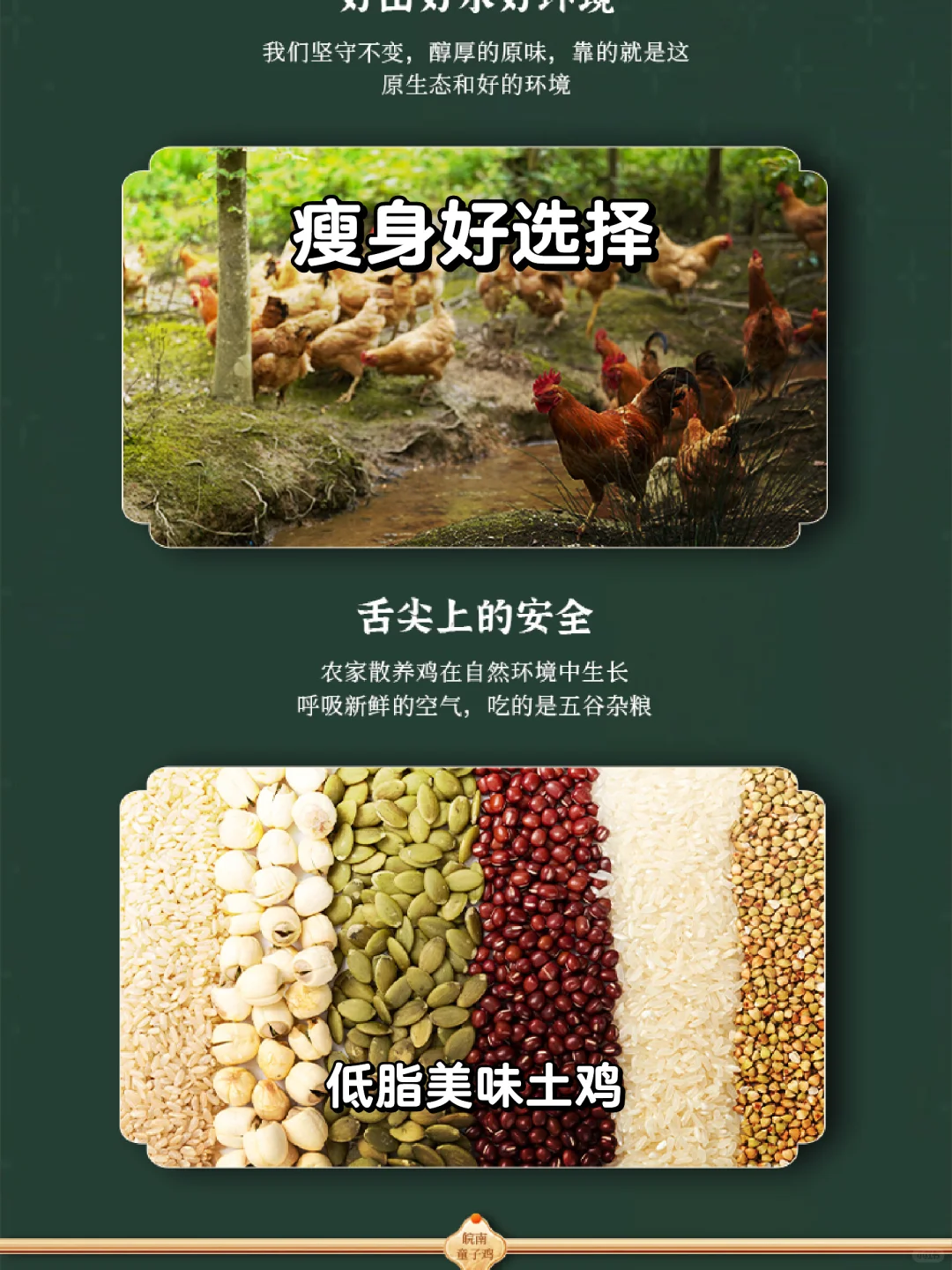 🍗少年公鸡+皖南童子鸡，瘦身好选择！