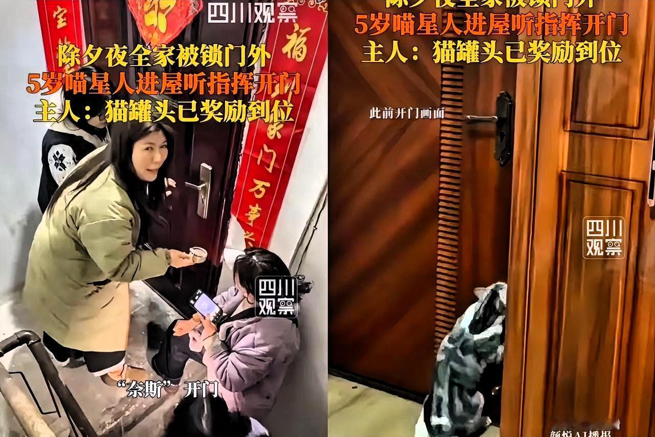 立大功了！湖北这只猫咪，除夕直接救了全家五口人！
 
除夕全家出门吃饭，折返时钥