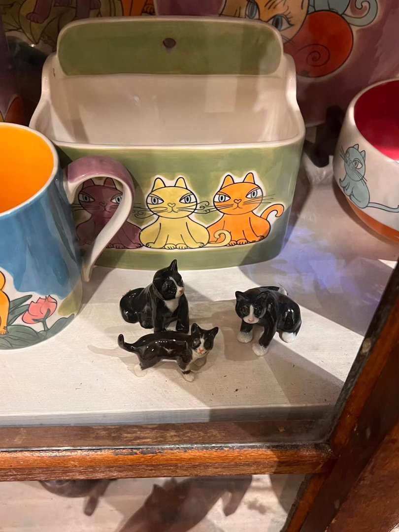 “在马来西亚槟城的一家猫猫周边店路遇三只小奶摆件”奶周边奶啵展馆 (投稿：） 